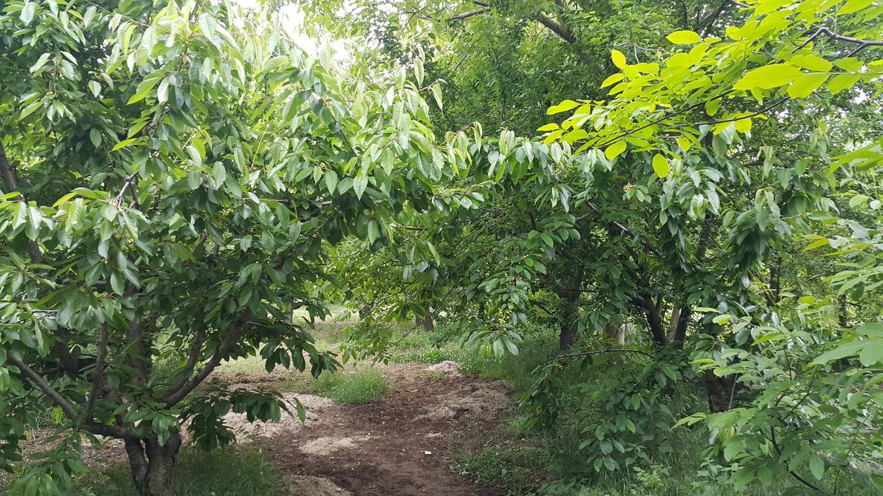 Ağlasun Alanlar Alabalik Ve Otel מראה חיצוני תמונה